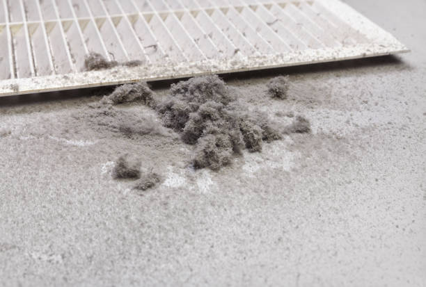 Best Affordable Duct Cleaning Services  in Monticello, MS