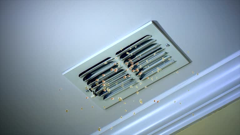 Best Home Air Vent Cleaning  in Monticello, MS
